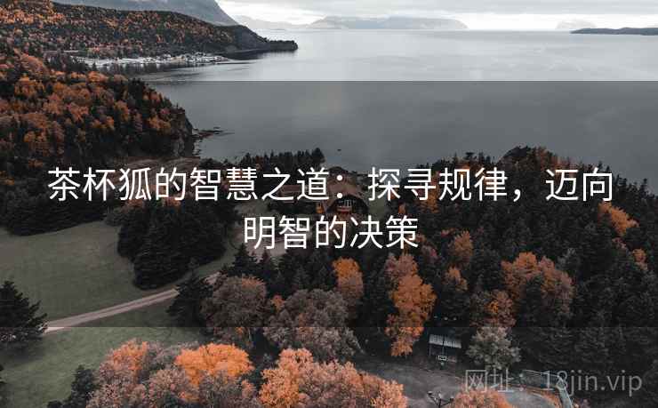 茶杯狐的智慧之道：探寻规律，迈向明智的决策