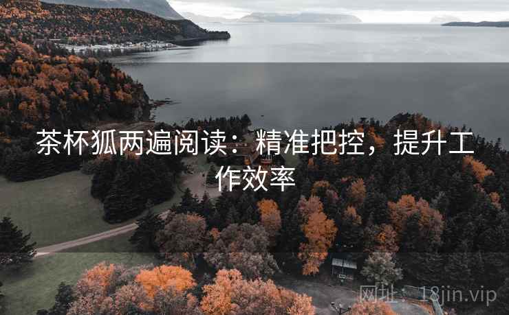 茶杯狐两遍阅读：精准把控，提升工作效率