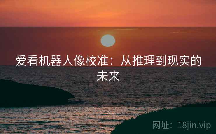 爱看机器人像校准：从推理到现实的未来